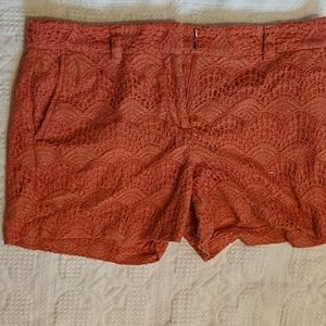 Loft rust colored shorts
